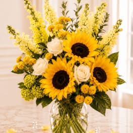 Here comes the Sun
