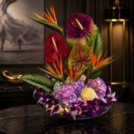 Tropical Flame pre-order