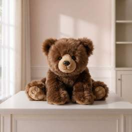 Huggy Ben the Brown Bear (BB)