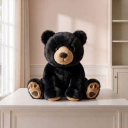 Woody the Plush Black Bear 10.5" (BB)