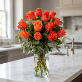 Dozen Orange Roses (BB)