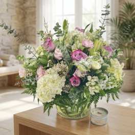 Paradise (BB)