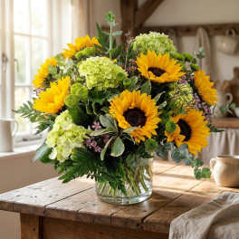 Radiant Sunshine (BB)
