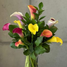 Colorful calla lilies arranged in a clear glass vase