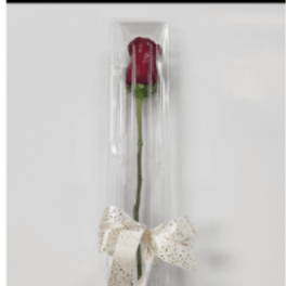 Single red rose in a clear plastic tube with a ribbon bow