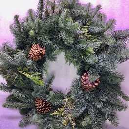 Evergreen wreath with pinecones on a purple background