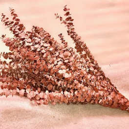 Bundle of dried pink eucalyptus branches on a pale pink surface