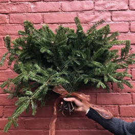 Handheld bundle of evergreen branches tied with a ribbon