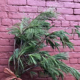 Bundle of long pine branches tied with a pink ribbon