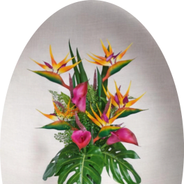 Bold Tropical Bird