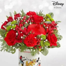 MICKEY MOUSE COOKIE JAR