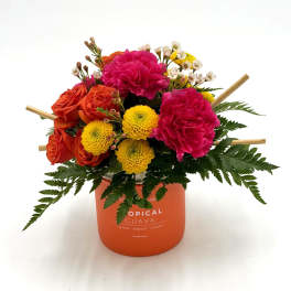 Tropical Sunset Glow
