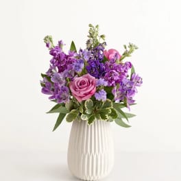 Lavender Expressions