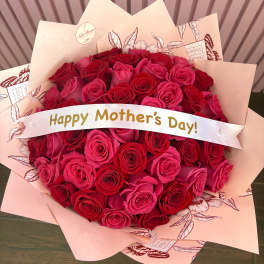 Roses of Gratitud