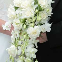 Bride Bouquet white orchids, roses and other white flowers.