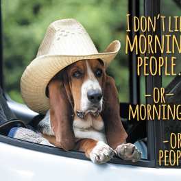 I Don't Like Morning People. Or Mornings. Or People Coffee Mug