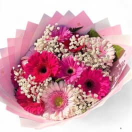 BUCHON GERBERAS