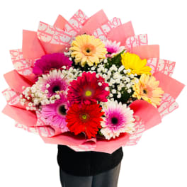 Colorful bouquet of gerbera daisies wrapped in pink paper