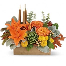 Orange lilies and roses in a wooden box with a succulent accent
