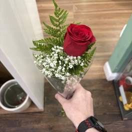Individually wrapped Rose (Any Color Except Blue)
