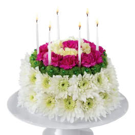 Birthday Cake Flowers