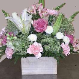 Blushing Blooms
