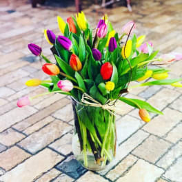 Colorful tulip bouquet in a clear glass vase