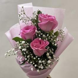 Pink Coquet