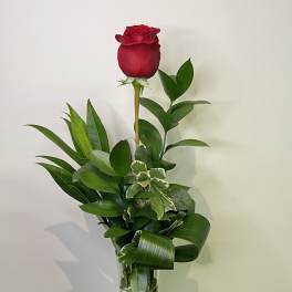 XO by Chasing Petals
