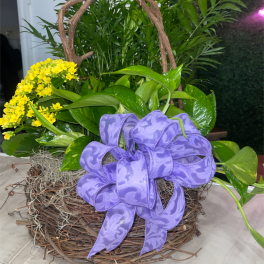 Thinking of you Dish Garden Basket