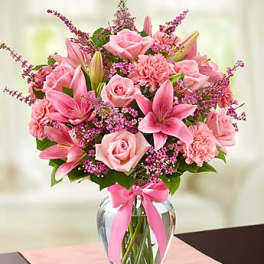 Expressions of Pink