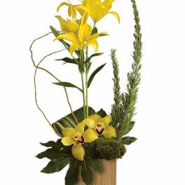 Teleflora's Bamboo Tropics