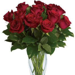 Teleflora's Rose Classique - Dozen Red Roses