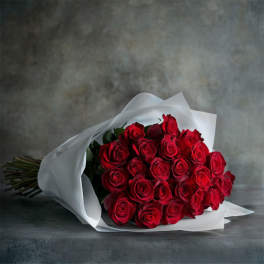 Bouquet of red roses wrapped in white paper