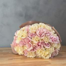Blush & White Harmony