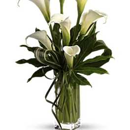 My Fair Lady by Teleflora