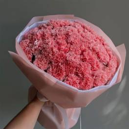 Large bouquet of pink carnations wrapped in pastel paper
