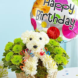 White flower teddy bear in a basket with a birthday balloon