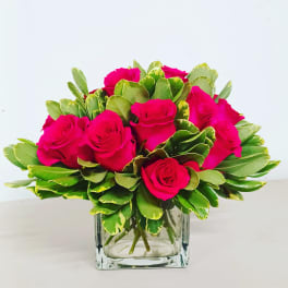 Aromatic rose of my dream flowers