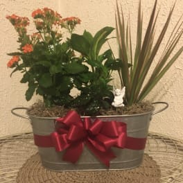 Potted flowering plant arrangement in a metal tub with a red ribbon