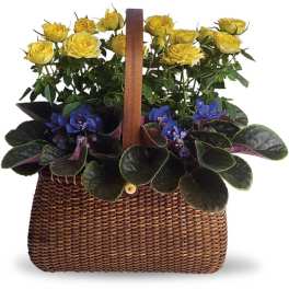 Garden To Go Basket