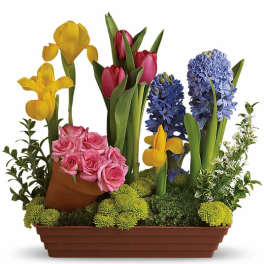 Spring Favorites
