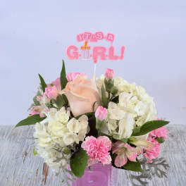 Welcome Baby Girl