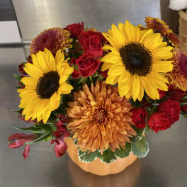 Pumpkin Blooms
