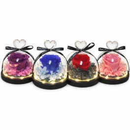 Four rose domes in clear heart-topped display cases with ribbon bows
