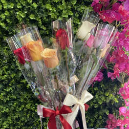 Bouquet of multicolored roses wrapped in clear plastic with satin ribbons