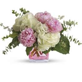 Teleflora's Pretty in Peony