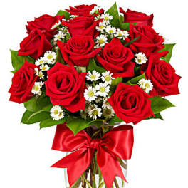 Premium Long Stem Red Roses