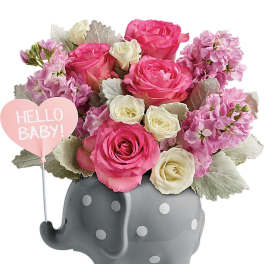 Teleflora's Hello Sweet Baby - Pink