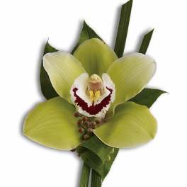 Green Orchid Boutonniere